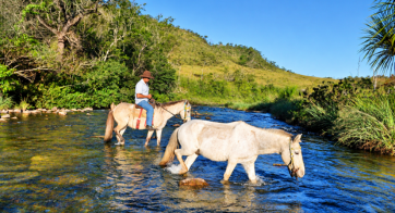 Passeio a Cavalo